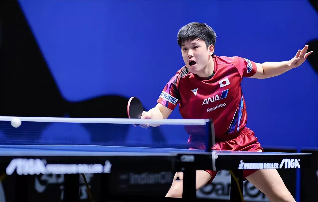 日本队完胜奥地利队，张本智和高光表现