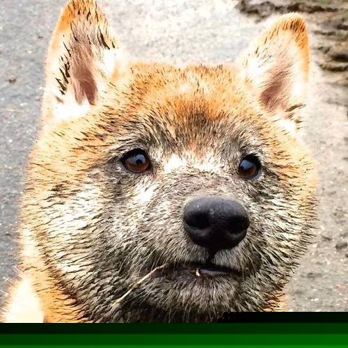 联合杯绝杀温网，梅德韦杰夫的熔炉之火，为何点燃了新世代的赛场逻辑