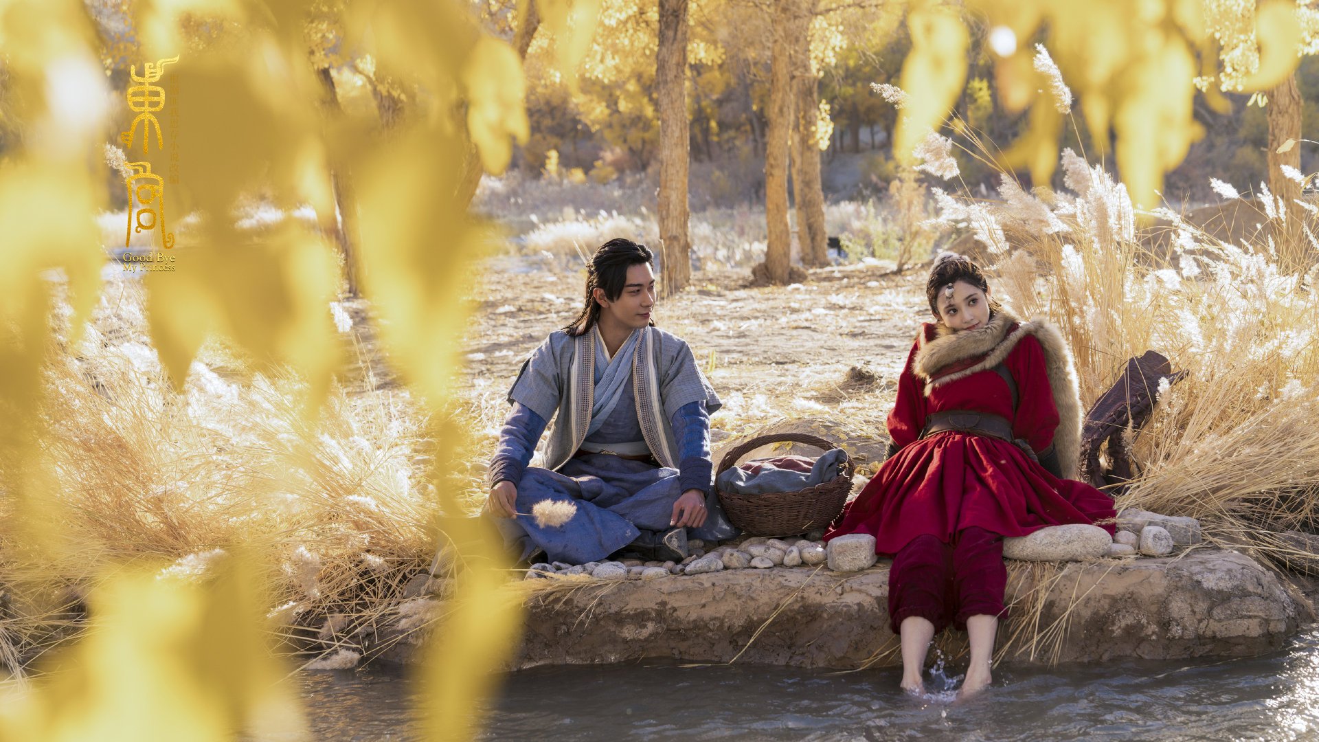 唯一之冠,澳网轻取法网的传奇对决,穆雷关键制胜铸就历史