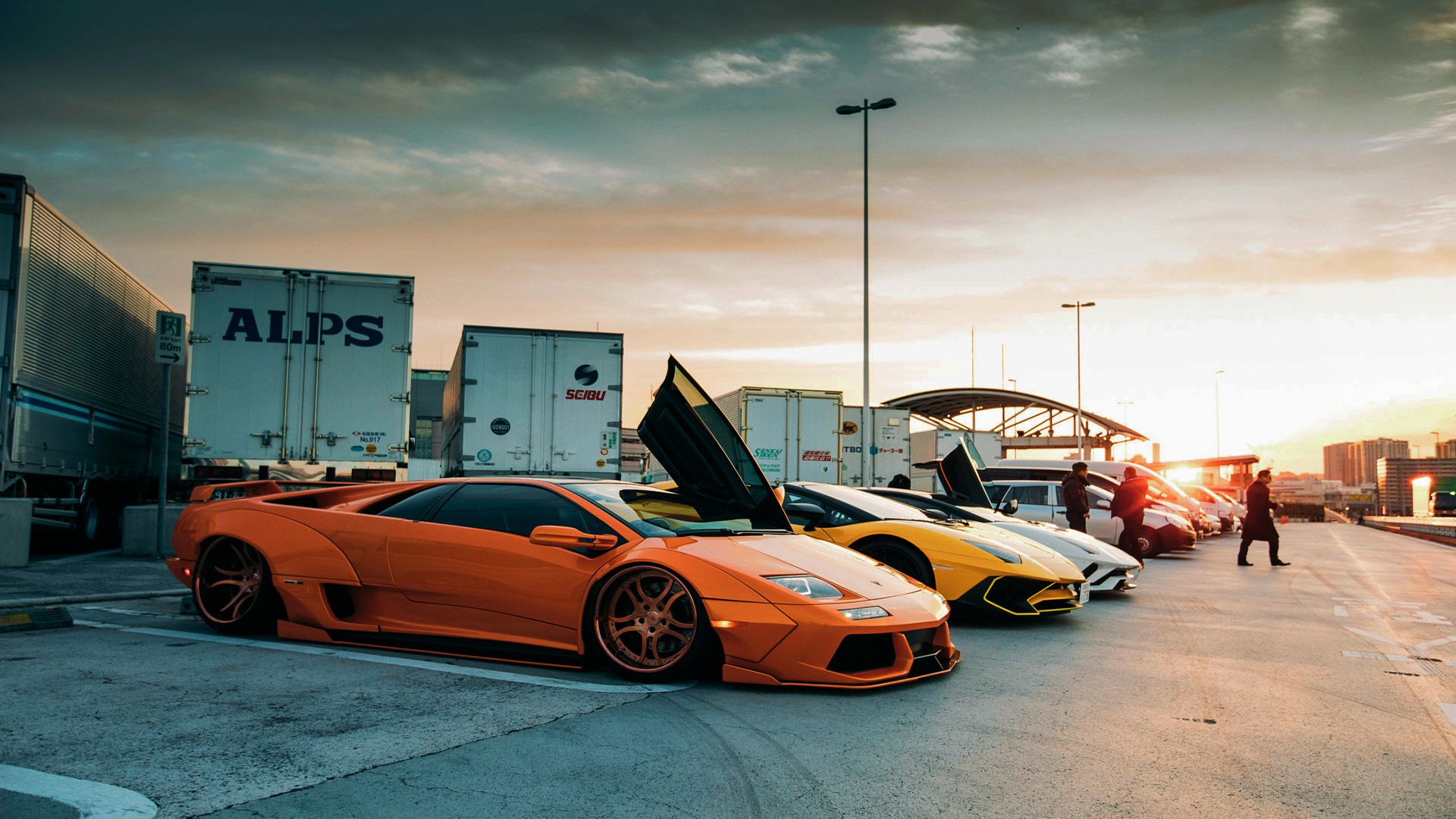 当篮网横扫天津,胡金秋不只是中锋,他扛起的是整片天空