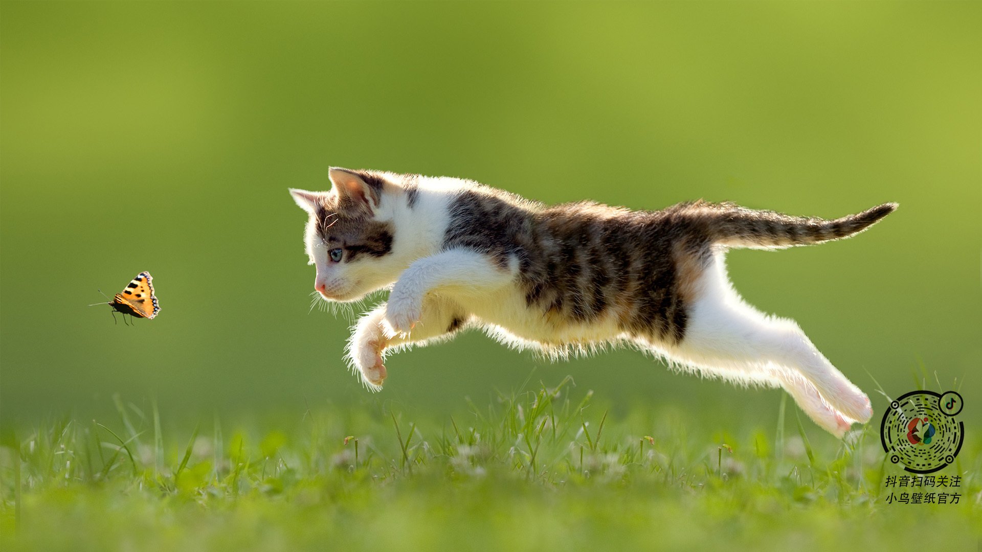 划破黑夜的流星，孔德终场绝响，尤文图斯的唯一救赎