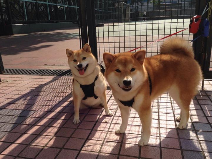 范弗利特，从雷霆到烈焰，一个人如何煮沸一片海