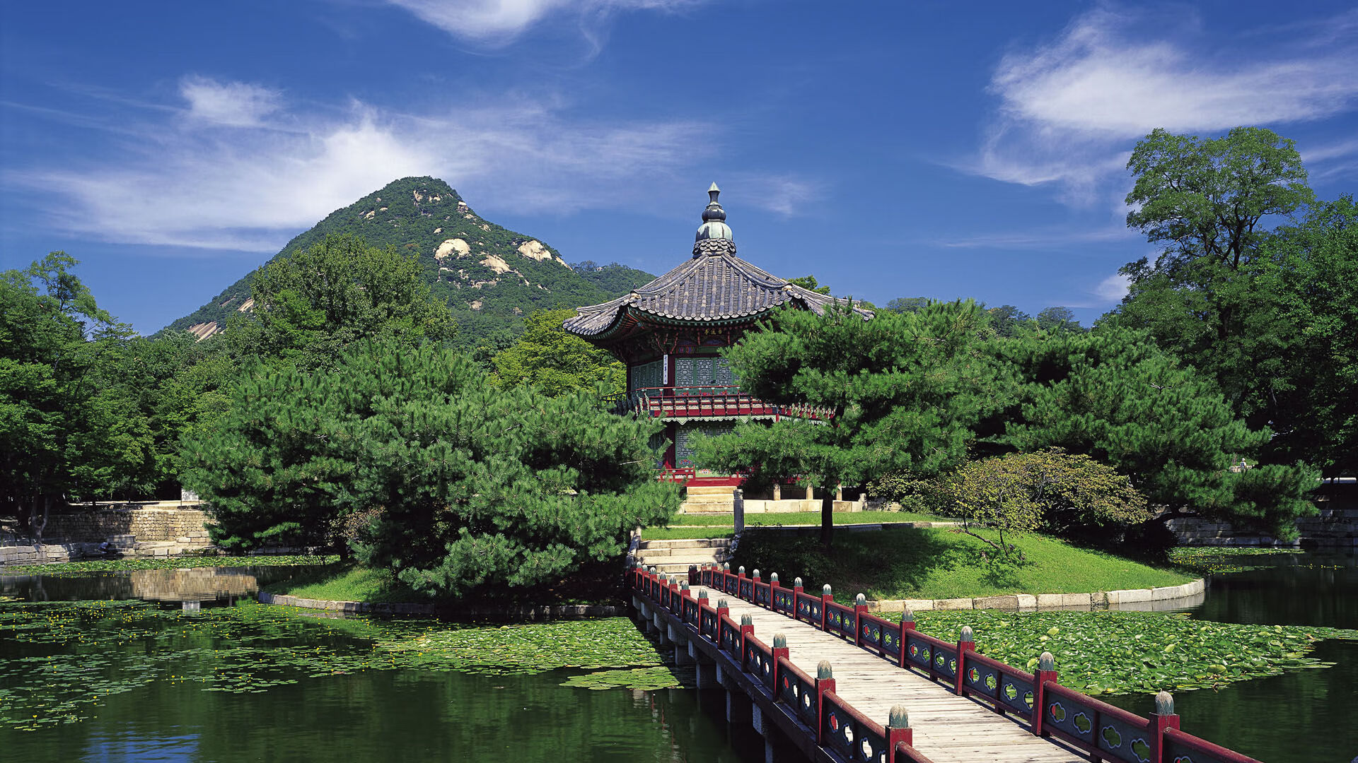 星空之下，谁是唯一的英雄？欧冠半决赛之夜与字母哥的无争议统治