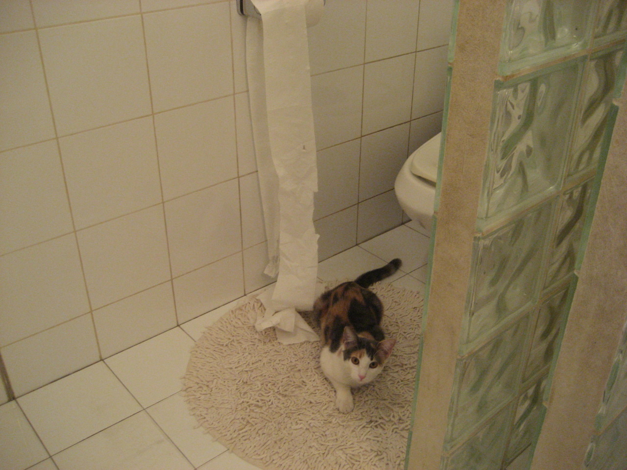 钢铁与探戈的变奏曲,恩佐用教科书式表现导演日本逆袭