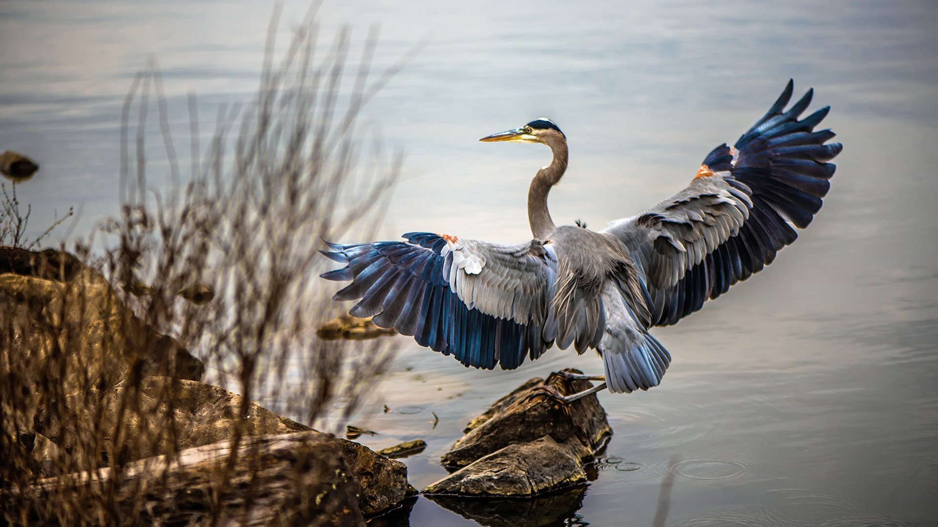当波特兰成为东部战场,开拓者跨区夺胜记