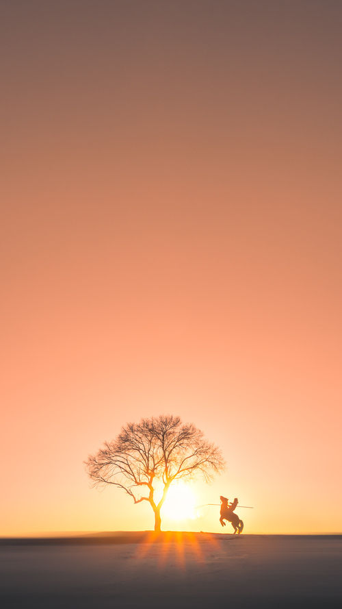 当北岸花园陷入沉寂，字母哥如何撕碎凯尔特人的不败金身