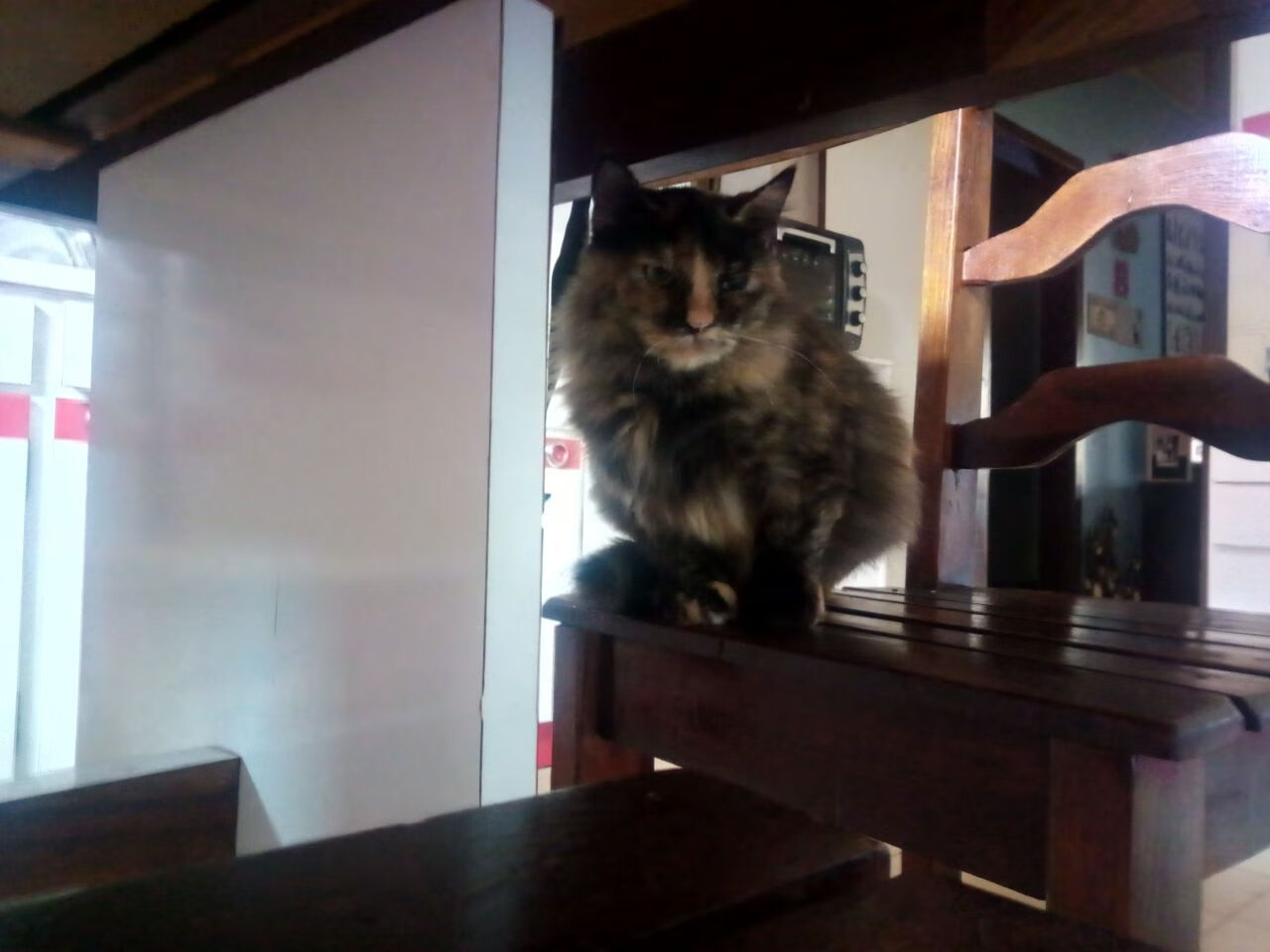 铁壁瓦解的十五分钟，美加墨世界杯见证葡萄牙如何一波带走日本