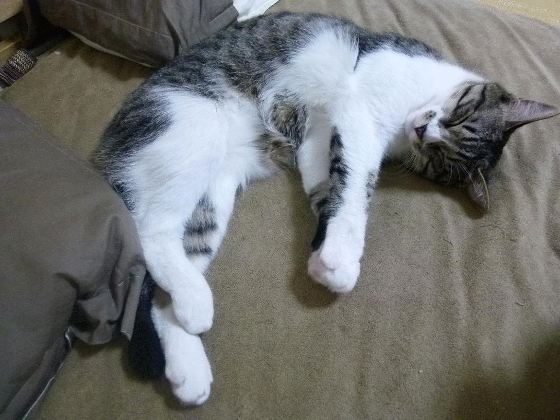 燃烧的孤城，德罗赞沉默中的惊雷，将命运钉在三分线外！