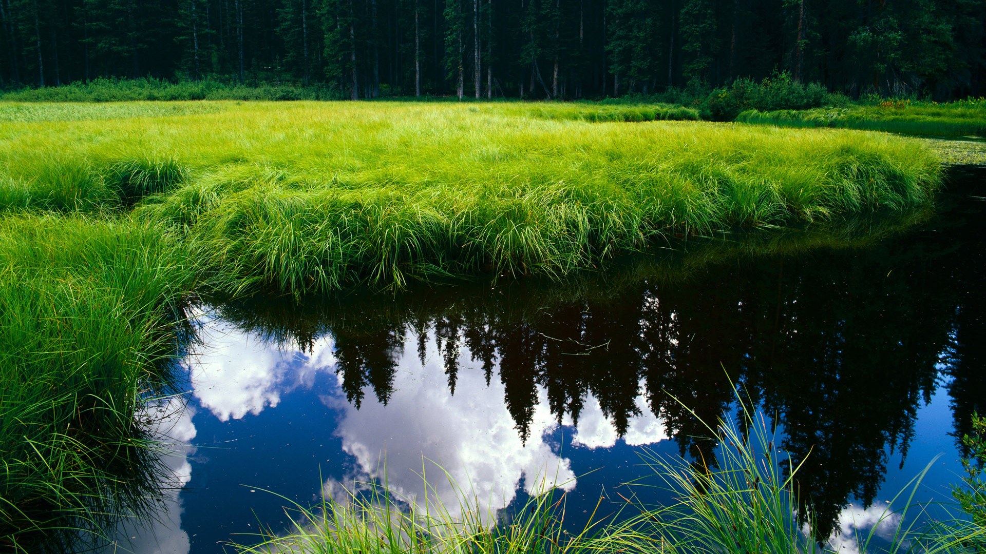 艺术足球的璀璨与钢铁意志的鏖战，足球世界的两副面孔