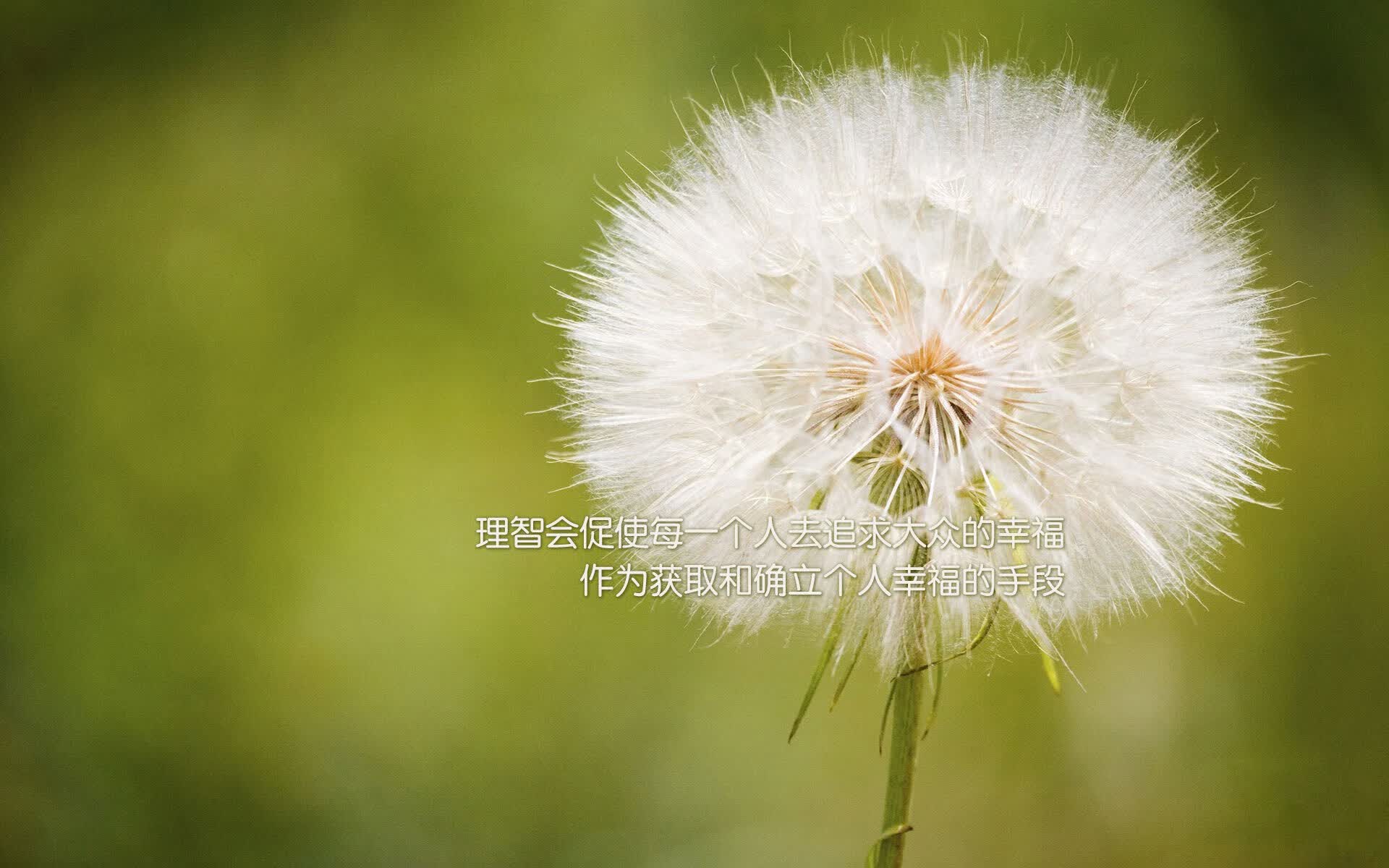 命运的斜线,哈基米与2026世界杯H组那场改写足球地理的夜晚