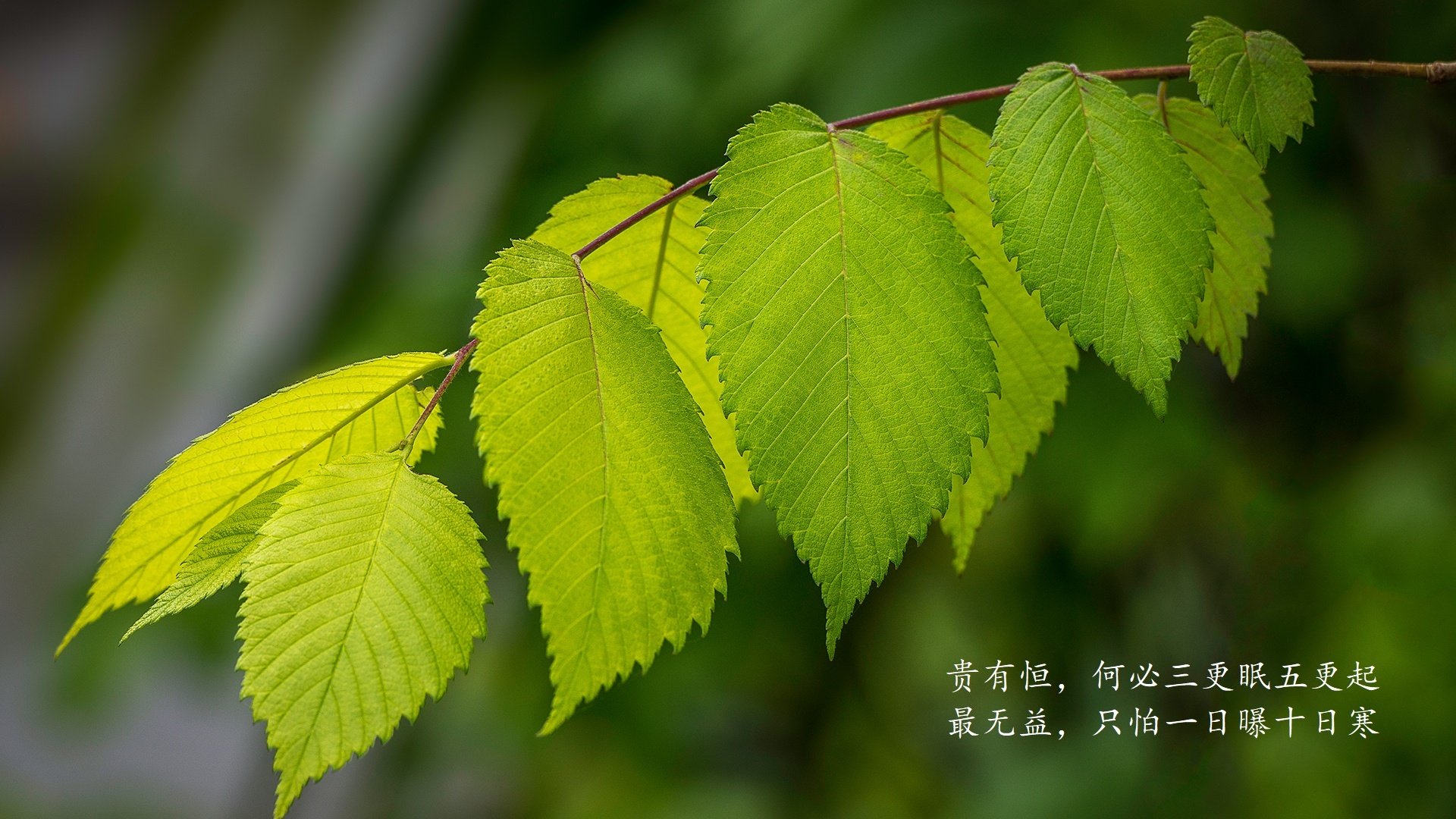 柏林之夜，当亚洲铁骑踏破日耳曼战车，梅西以王冠之火照亮2026