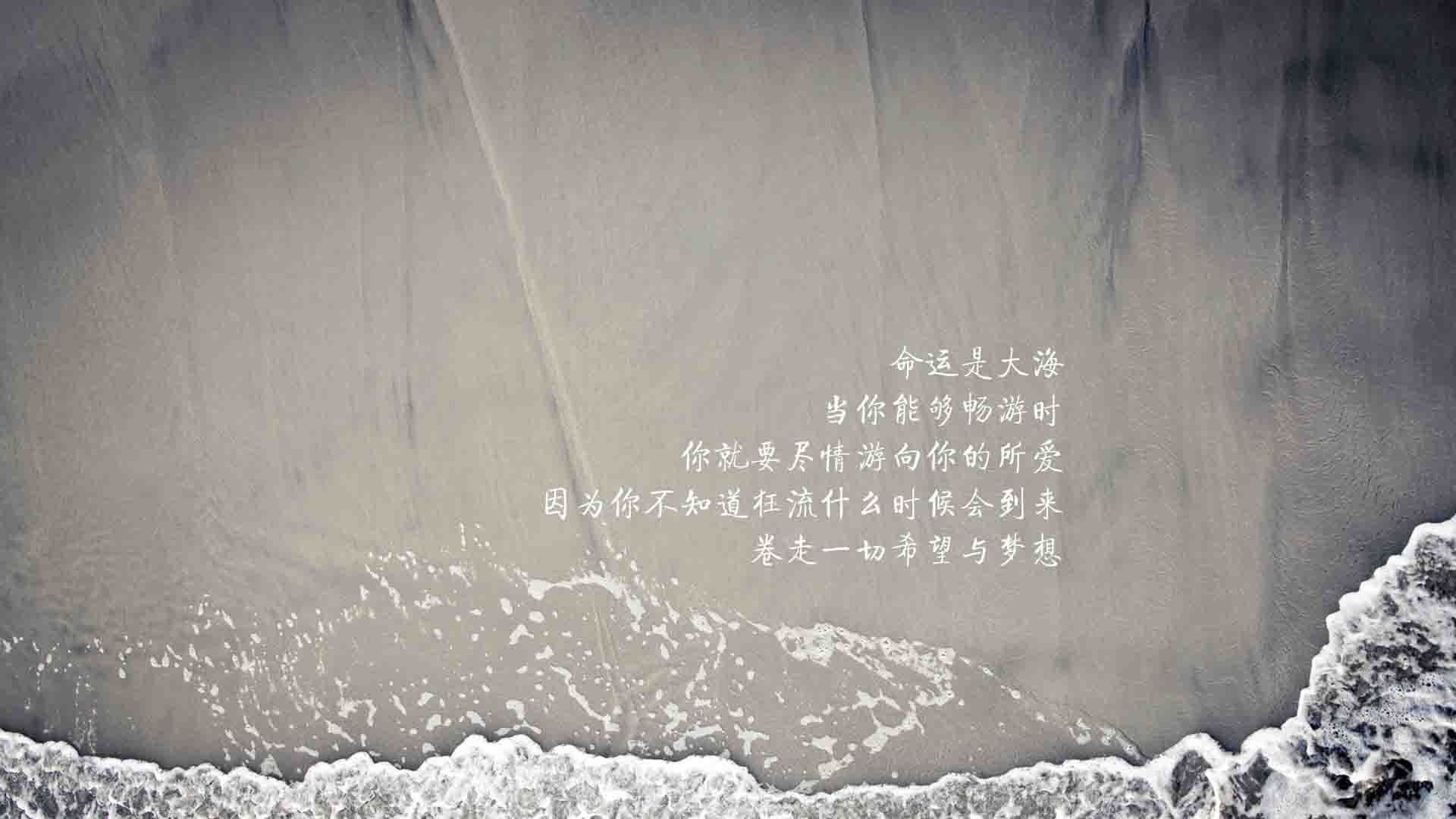 2026世界杯C组震撼战报，喀麦隆碾压日本，莱万多夫斯基独造三球闪耀北美之巅